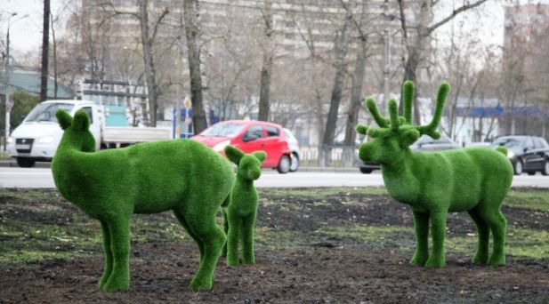 Олени