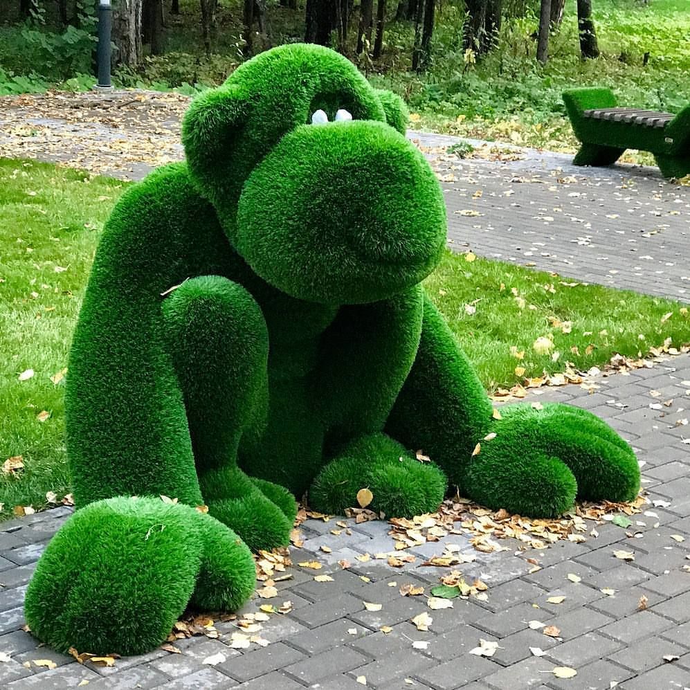 Обезьяна